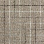 Stewart Beige Check